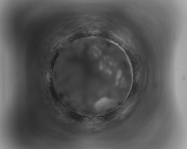 X0000099991397200805301404