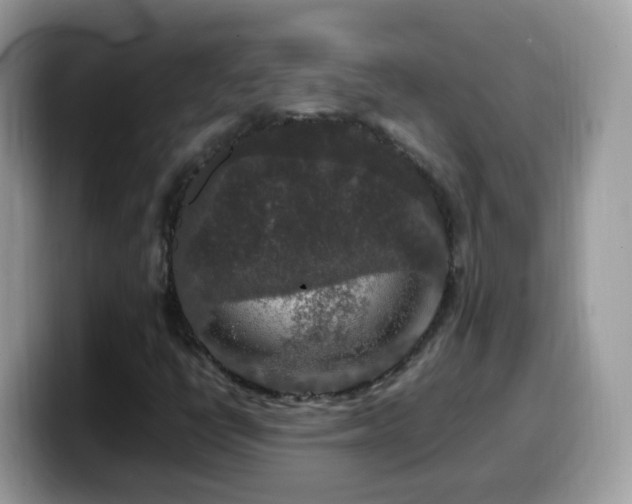 X0000099991398200805301404