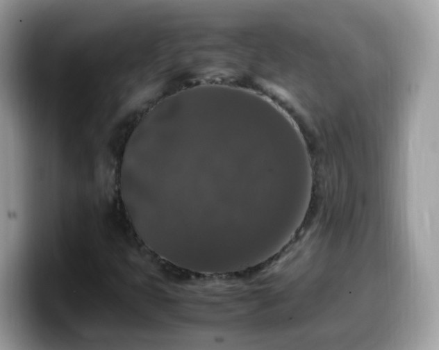 X0000099991399200805301404