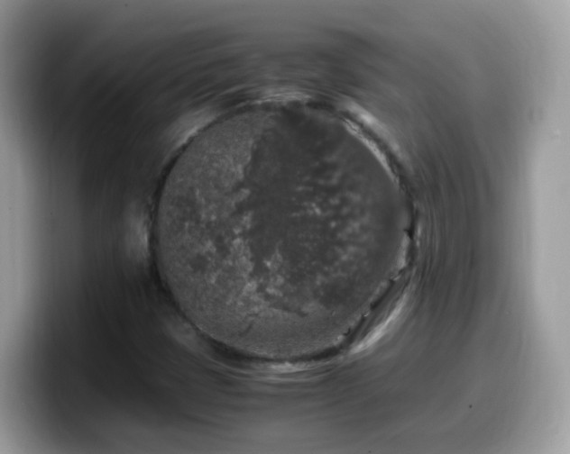 X0000099991401200805301404