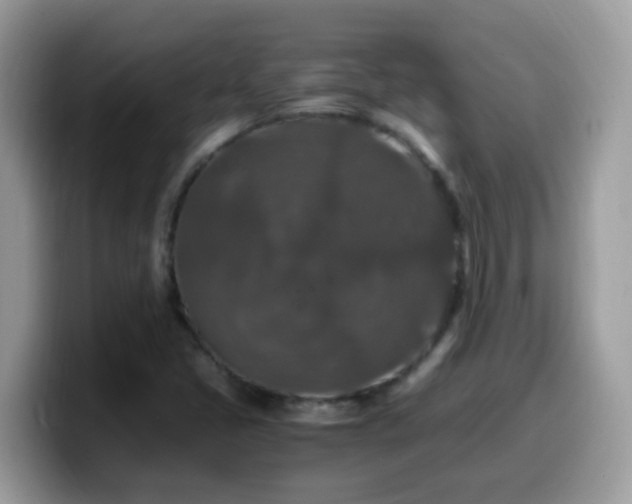 X0000099991405200805301404