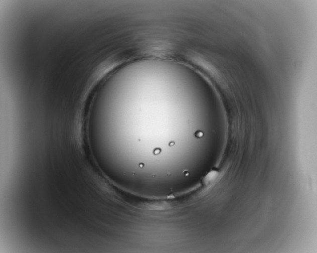 X0000099991410200805301404