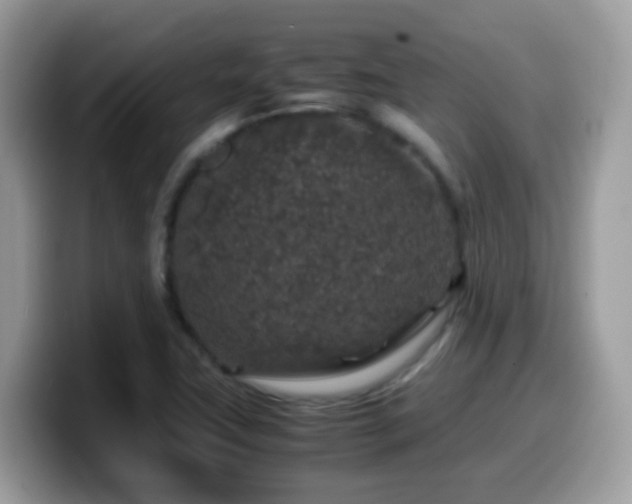 X0000099991411200805301404