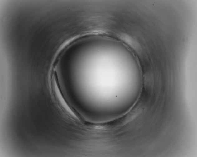 X0000099991412200805301404