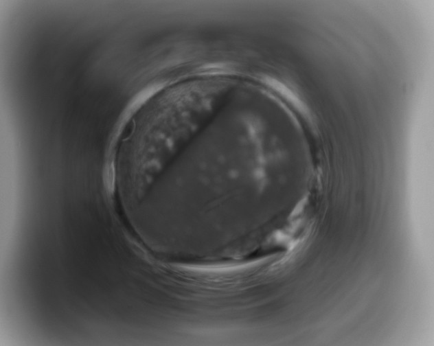 X0000099991413200805301404