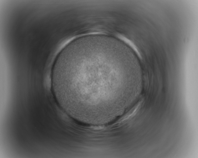 X0000099991415200805301404