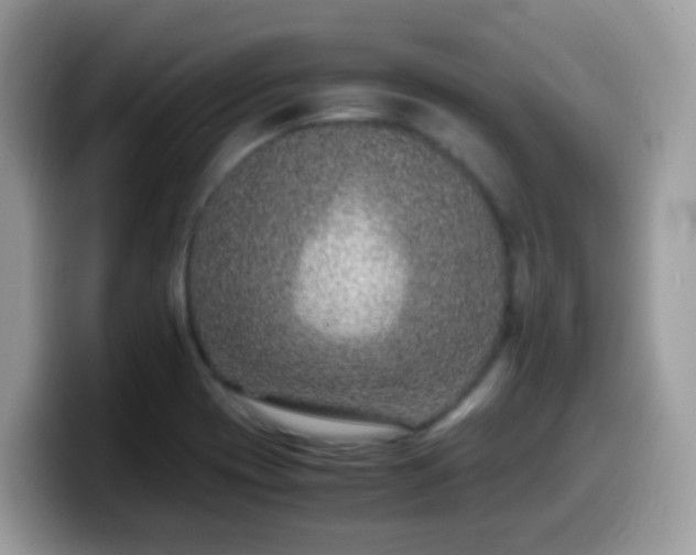 X0000099991417200805301404