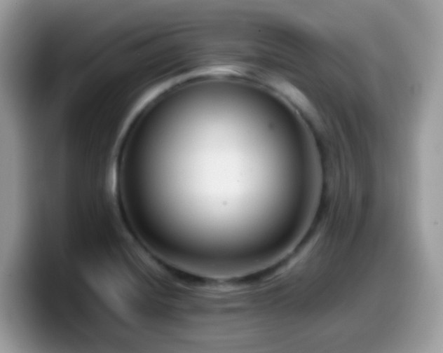 X0000099991420200805301404