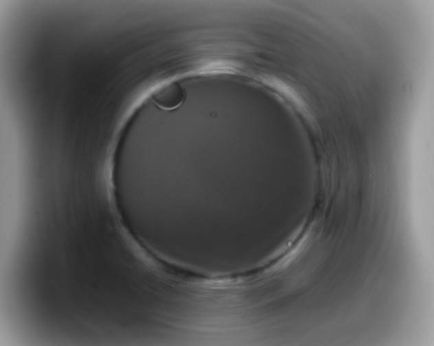 X0000099991422200805301404