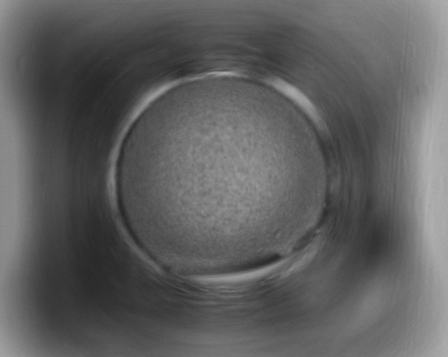 X0000099991423200805301404