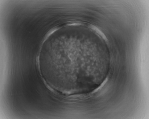 X0000099991425200805301404