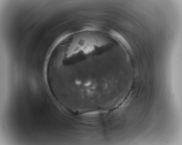 X0000099991427200805301404