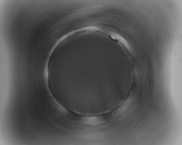 X0000099991428200805301404