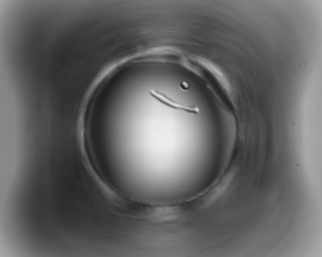 X0000099991430200805301404