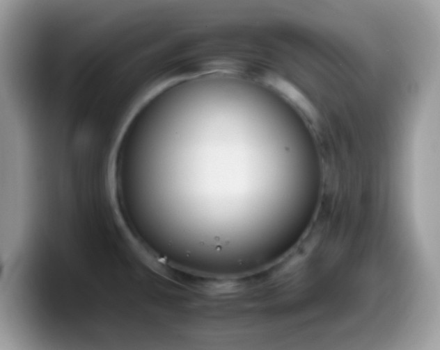 X0000099991431200805301404