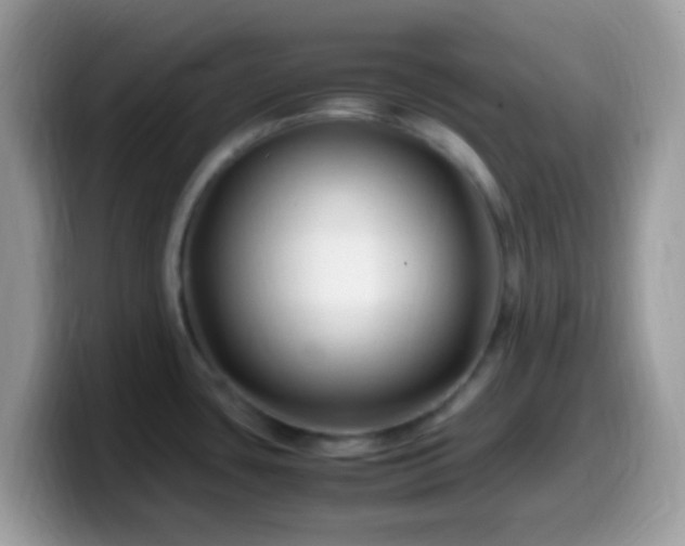 X0000099991435200805301404
