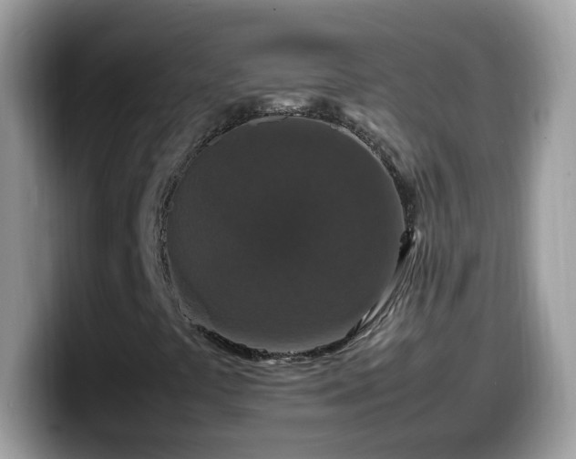 X0000099991441200805301404