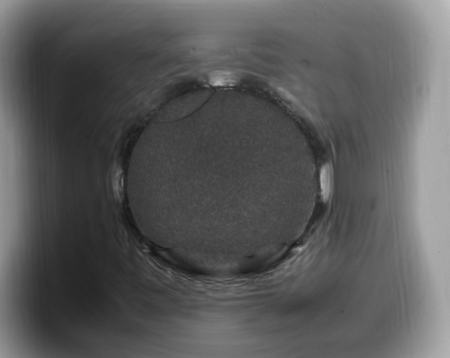 X0000099991443200805301404