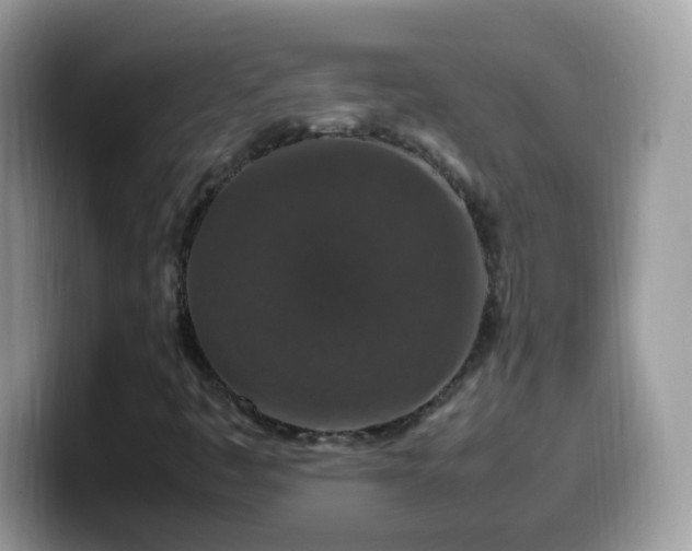 X0000099991445200805301404