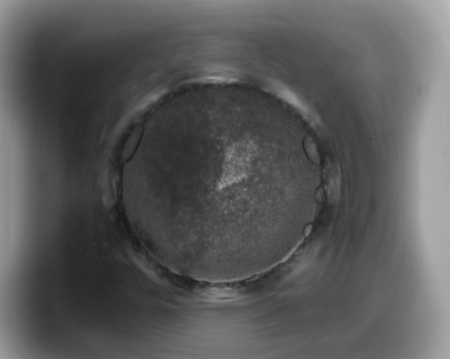 X0000099991448200805301404