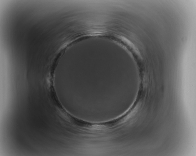 X0000099991449200805301404