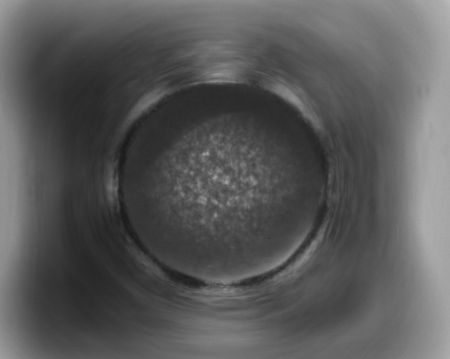 X0000099991450200805301404