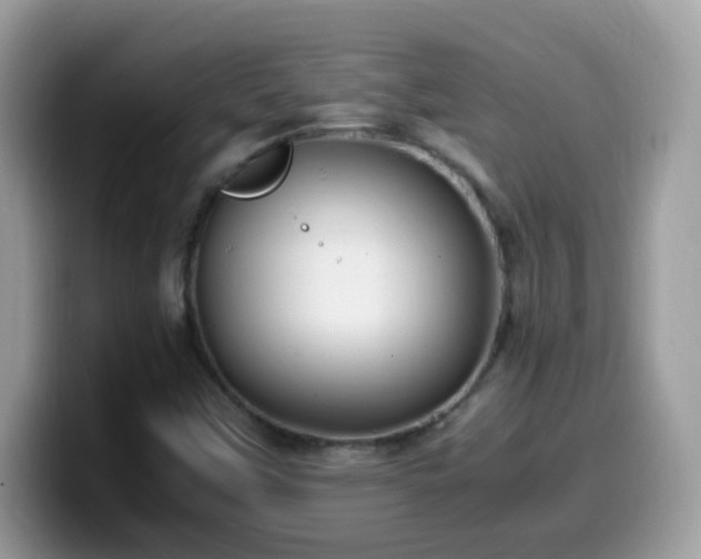 X0000099991451200805301404