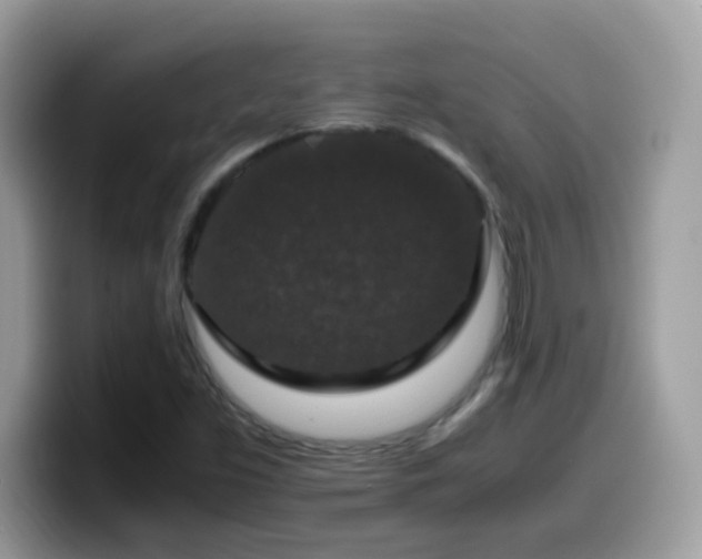 X0000099991453200805301404