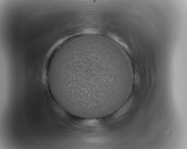 X0000099991454200805301404