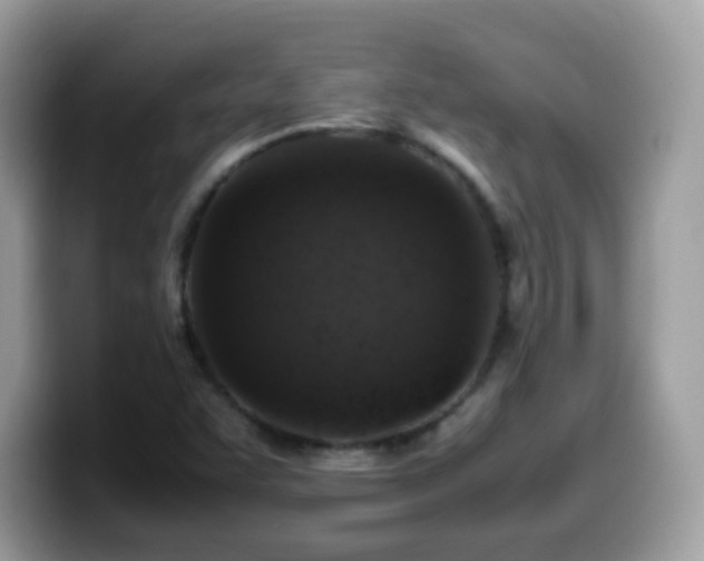 X0000099991455200805301404