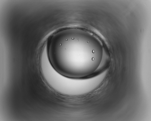 X0000099991456200805301404
