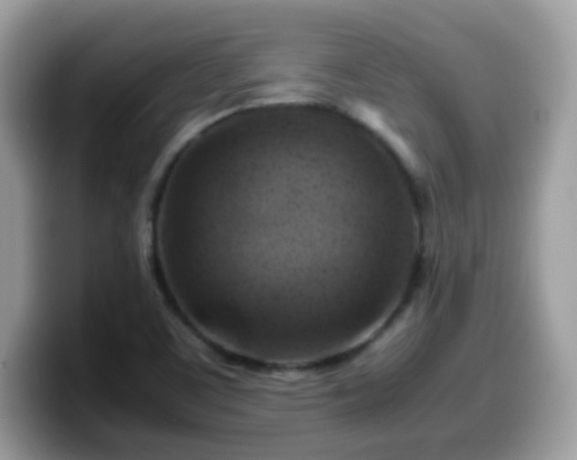 X0000099991459200805301403