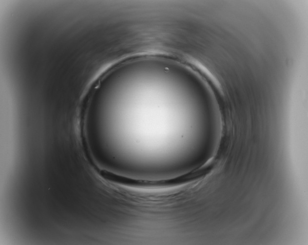X0000099991460200805301403