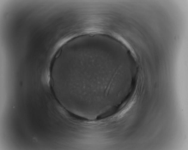 X0000099991461200805301403