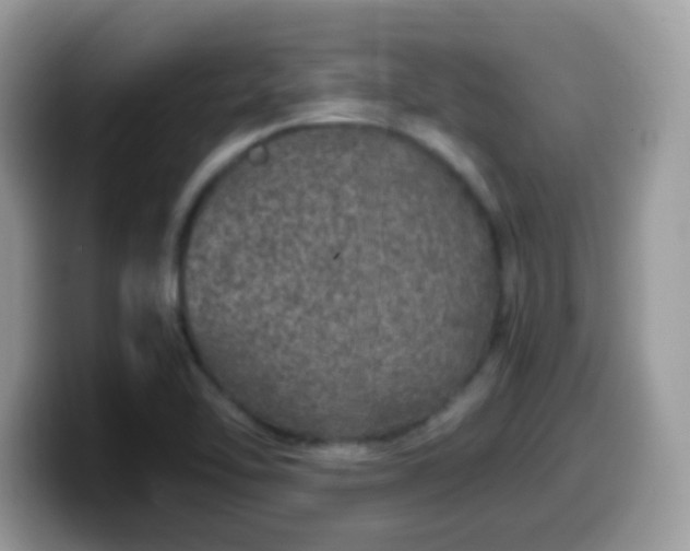 X0000099991462200805301403