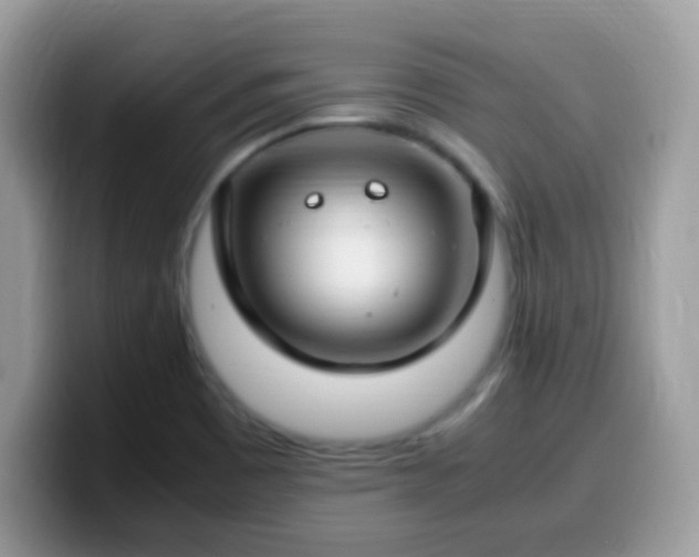 X0000099991465200805301403