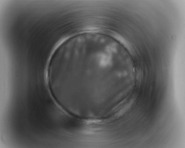 X0000099991466200805301403