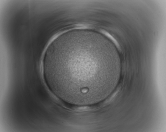 X0000099991467200805301403