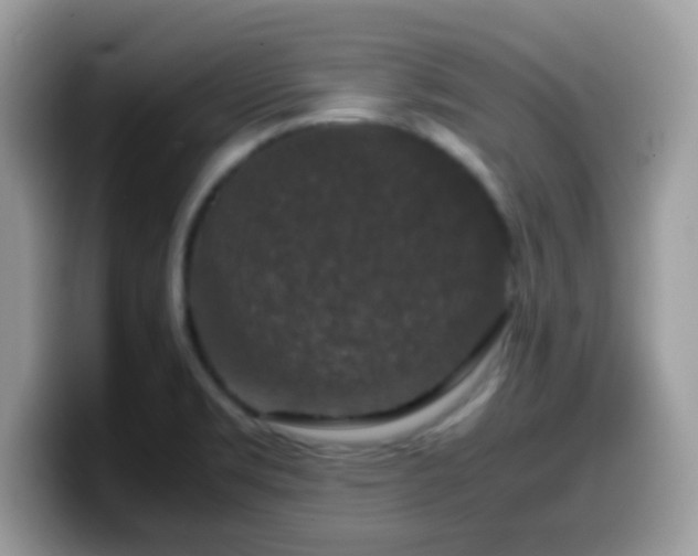 X0000099991469200805301403