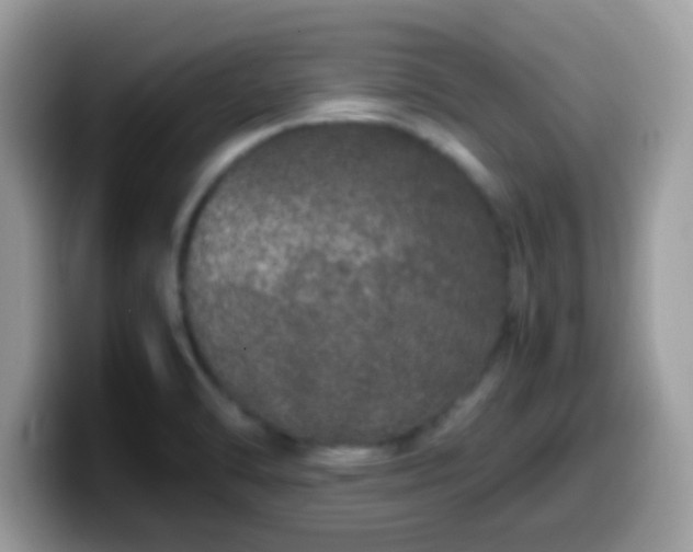X0000099991470200805301403