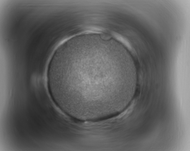 X0000099991471200805301403