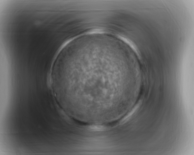 X0000099991473200805301403