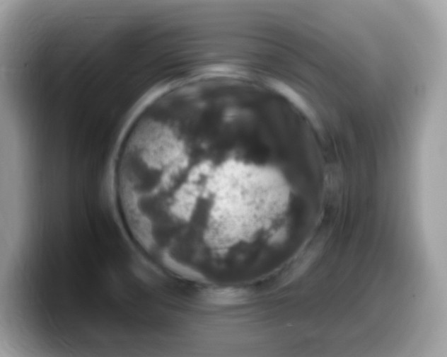 X0000099991474200805301403