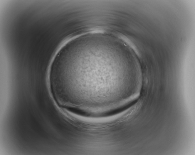 X0000099991475200805301403
