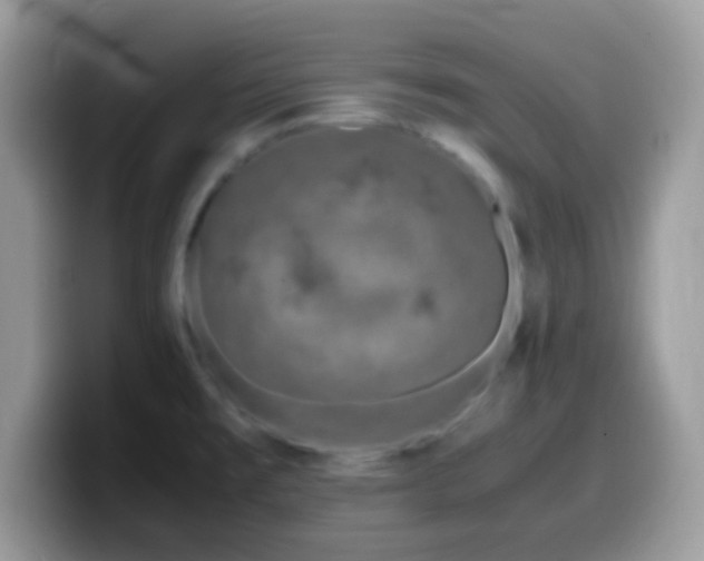 X0000099991477200805301403