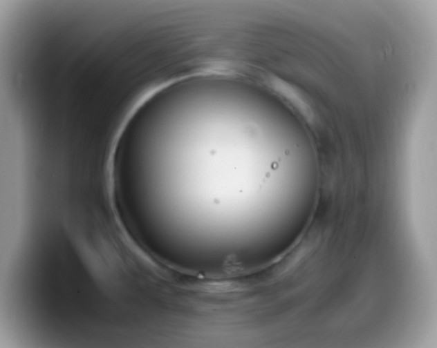 X0000099991479200805301403