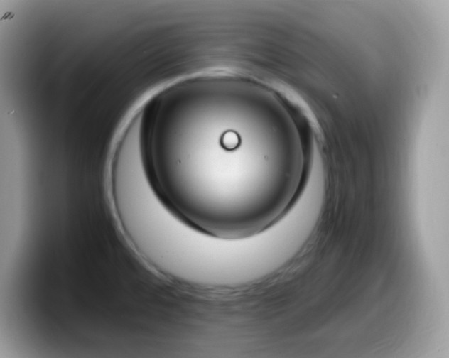 X0000099991480200805301403