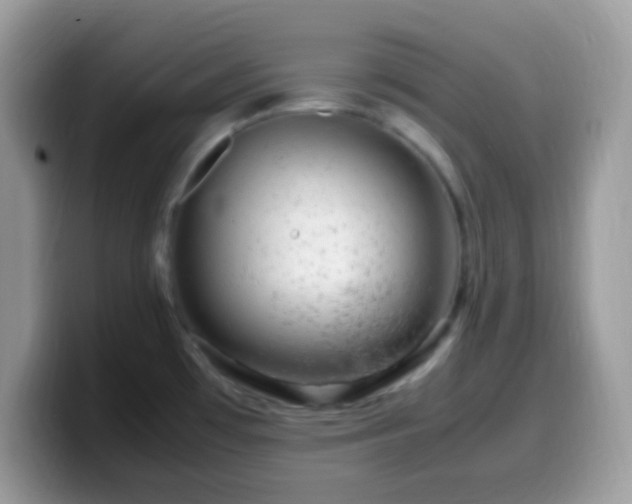 X0000099991481200805301403