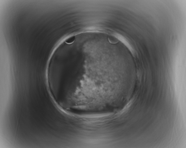 X0000099991482200805301403