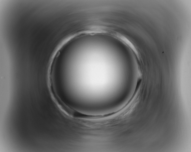 X0000099991485200805301403